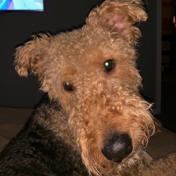 Add me on Instagram for Newest Listings:  @morrisPMcloset! - Picture 2 of 5